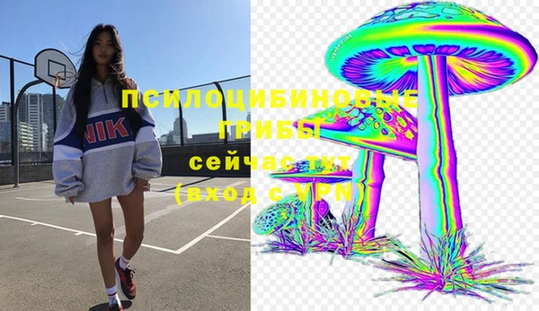 ПСИЛОЦИБИНОВЫЕ ГРИБЫ Абдулино