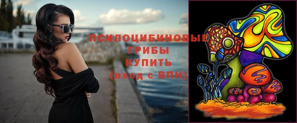 дмт Абаза