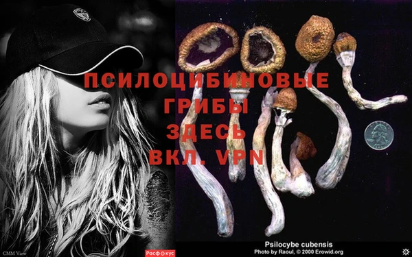 гашиш Абинск