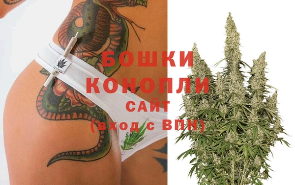 дмт Абаза