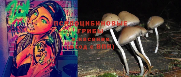 ПСИЛОЦИБИНОВЫЕ ГРИБЫ Абдулино