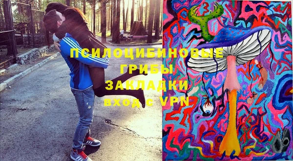 ПСИЛОЦИБИНОВЫЕ ГРИБЫ Абдулино