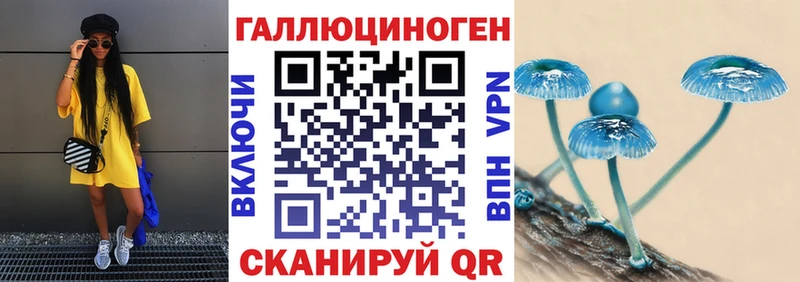 наркотики  Ядрин  Псилоцибиновые грибы мухоморы 